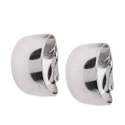 P1330588Adaxion-ok silver